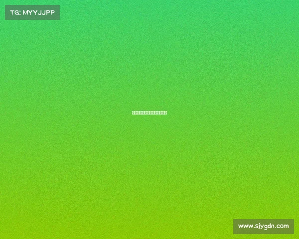 体育赛事信息统计体育赛事报告